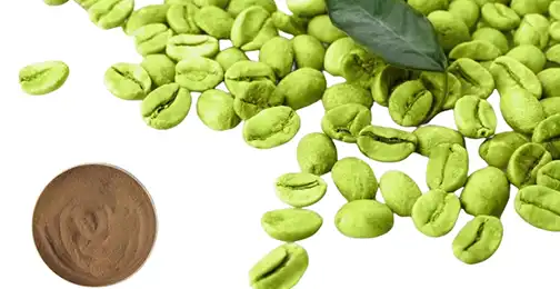 What is the recommended dosage of Green Coffee Bean Extract Powder?